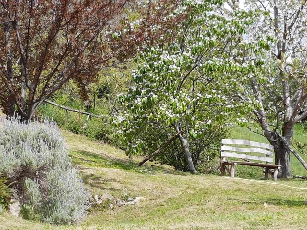 Cote Lac Tolla Dış mekan fotoğraf